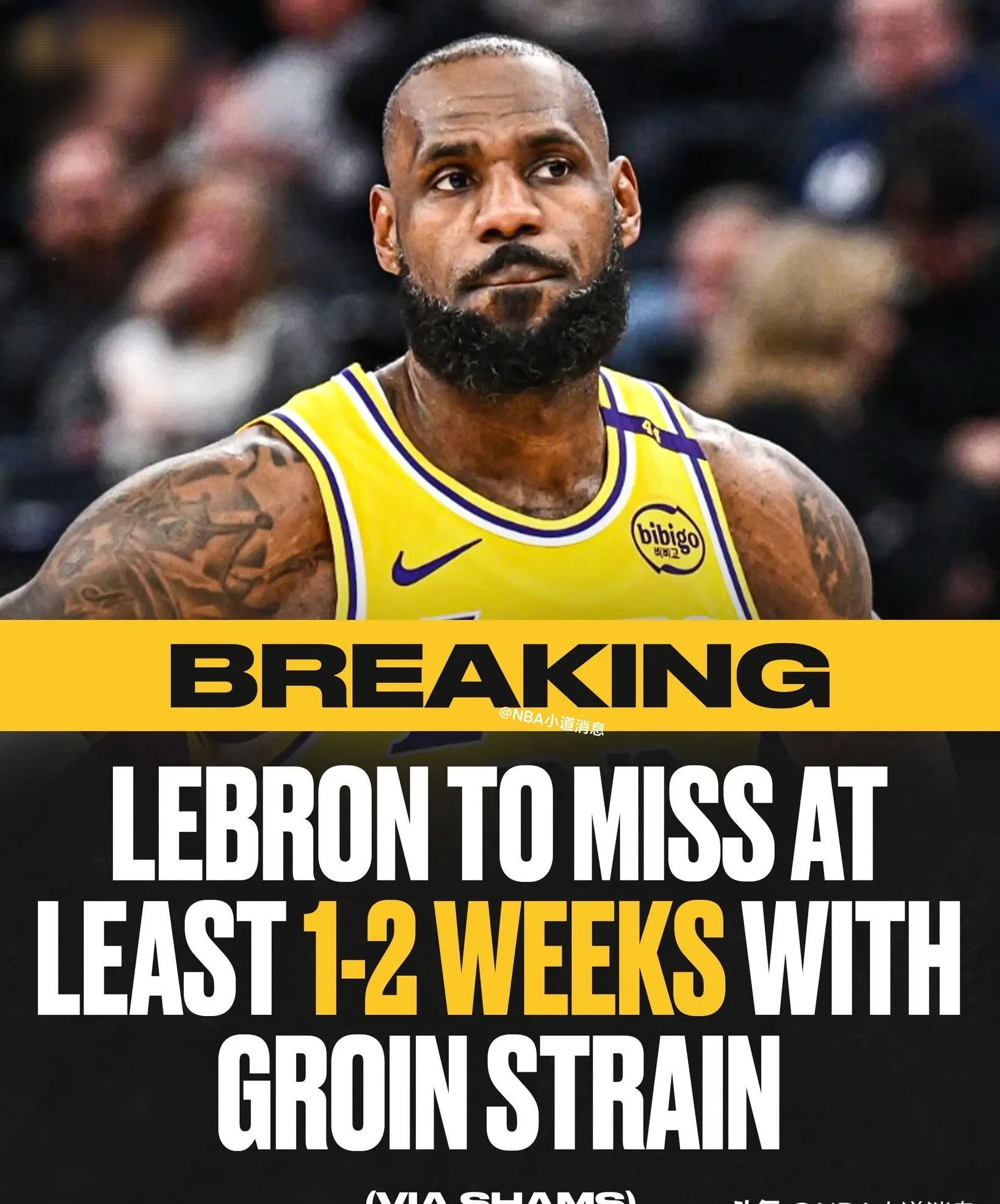 篮网轻取公牛，詹姆斯刷新纪录